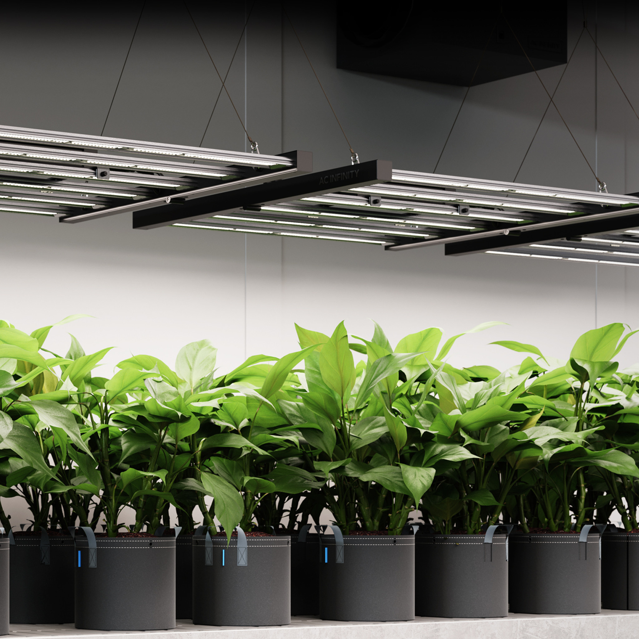 AC Infinity AC Infinity  IONFRAME EVO6, Commercial LED Grow Light, 500W