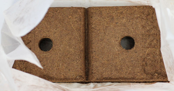 Canna Canna Coco Brick  40L expanded