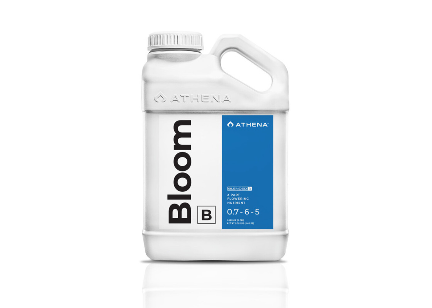 Athena Athena Bloom B 1 gal