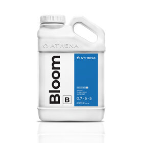 Athena Athena Bloom B 1 gal