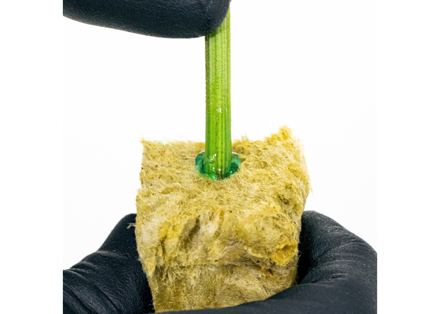 Athena Athena Cuts Rooting Compound 7 oz