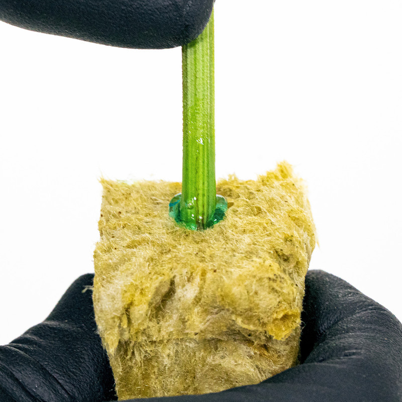 Athena Athena Cuts Rooting Compound 7 oz