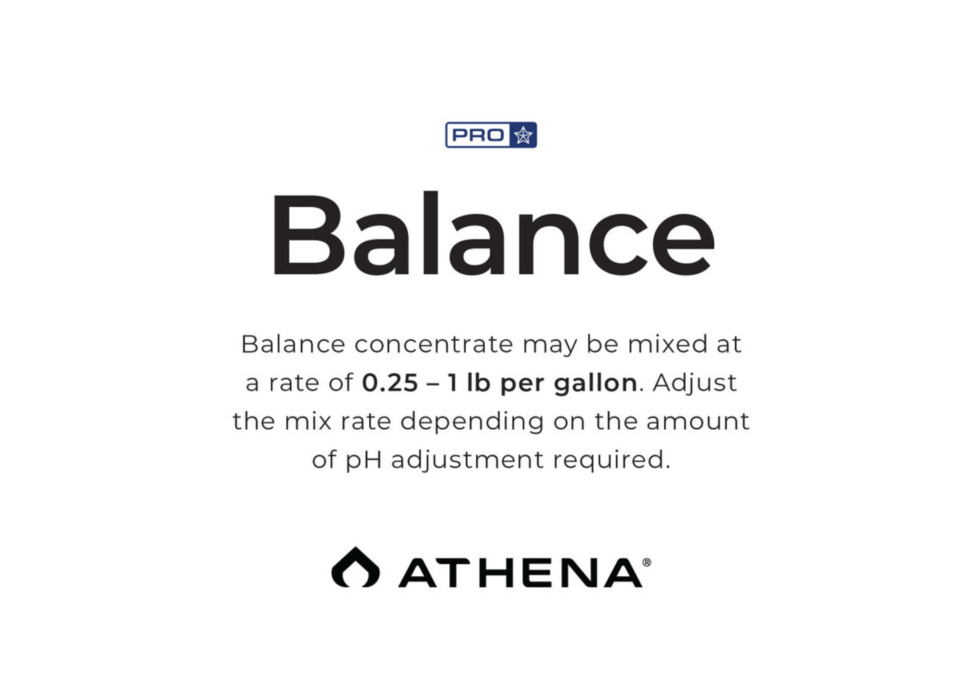 Athena Athena BOX ProLine Balance 25 lb