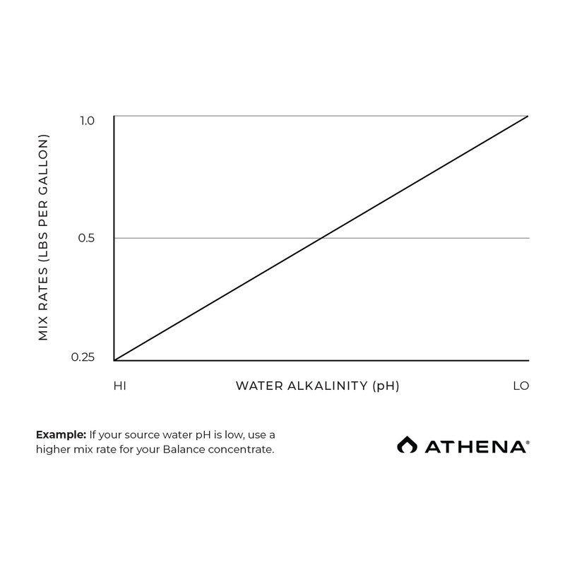 Athena Athena BOX  ProLine Balance 10 lb