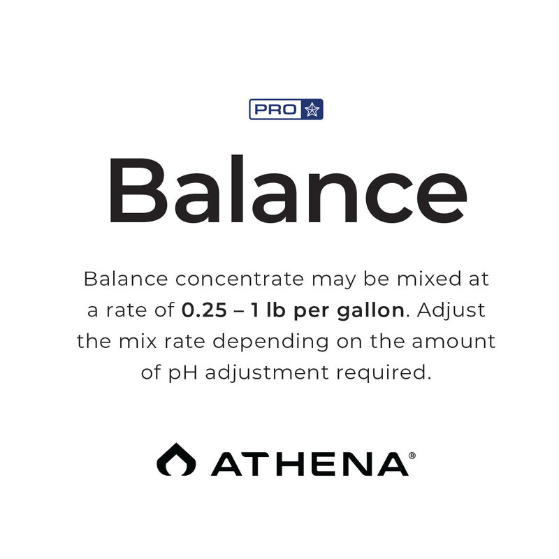 Athena Athena BOX  ProLine Balance 10 lb