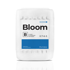 Athena Athena Bloom B 5 gal