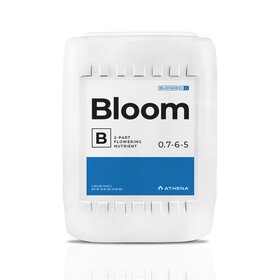 Athena Athena Bloom B 5 gal