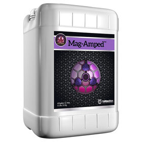 Cutting Edge Solutions Cutting Edge Solutions Mag-Amped 6gal