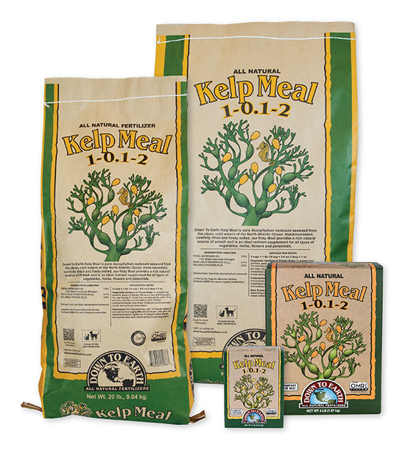 Down To Earth Kelp Meal - 4 lb