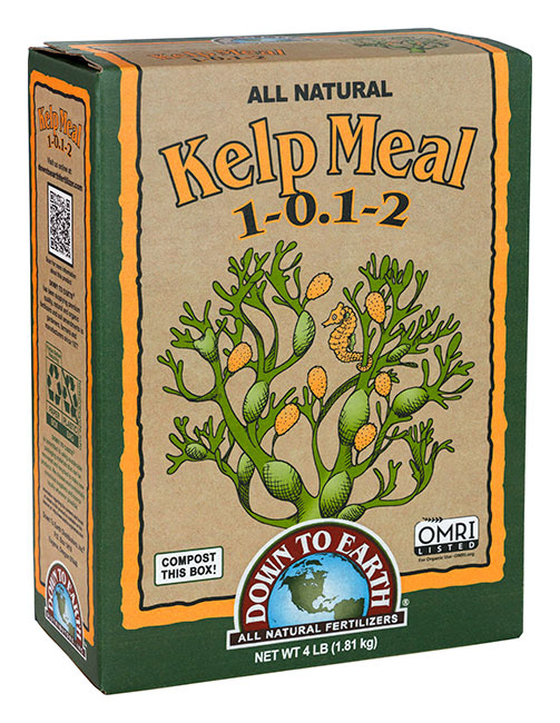 Down To Earth Kelp Meal - 4 lb