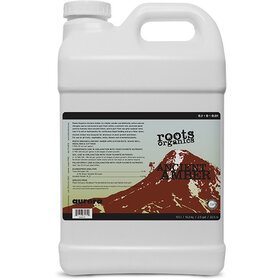 Aurora Innovations Ancient Amber 2.5 gal