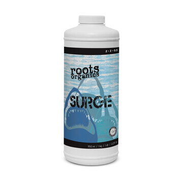 Aurora Innovations Surge 32oz