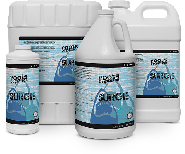 Aurora Innovations Surge Gallon