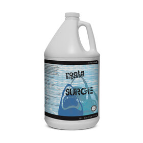 Aurora Innovations Surge Gallon