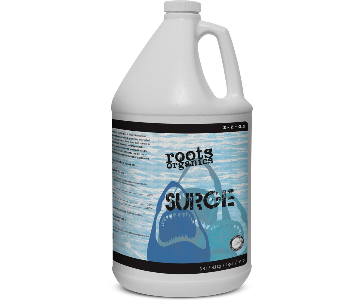 Aurora Innovations Surge Gallon