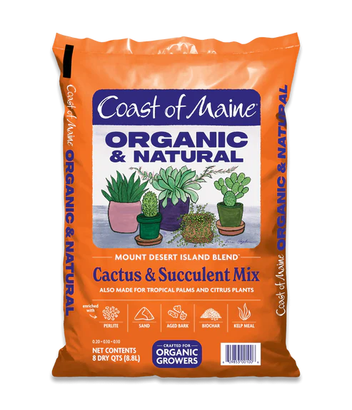 Coast of Maine Cactus & Succulent Mix 8qt