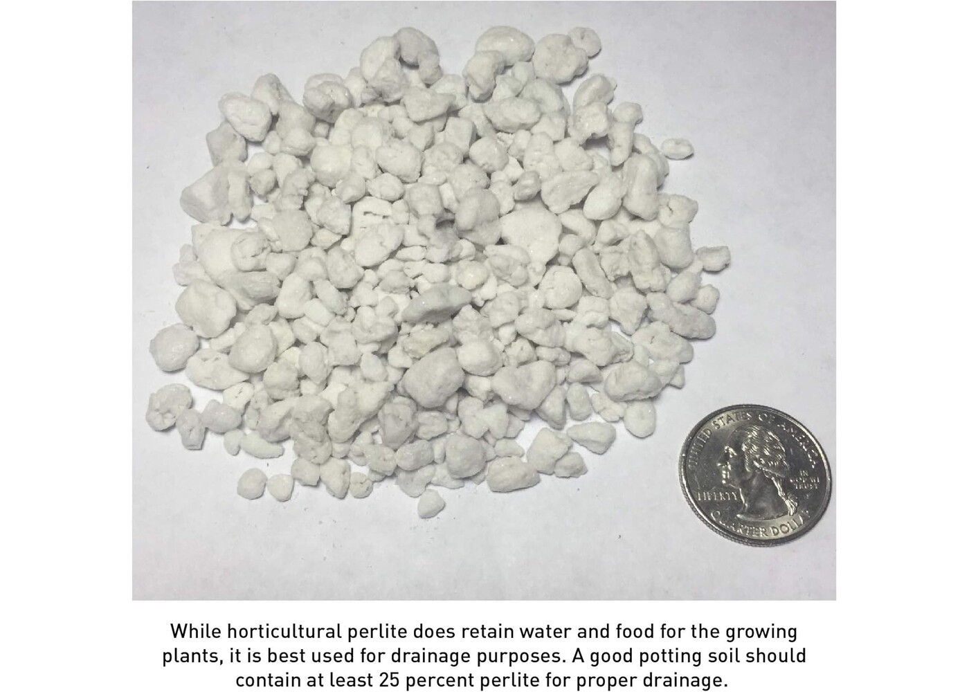 PVP Industries Coarse Perlite 4cu ft
