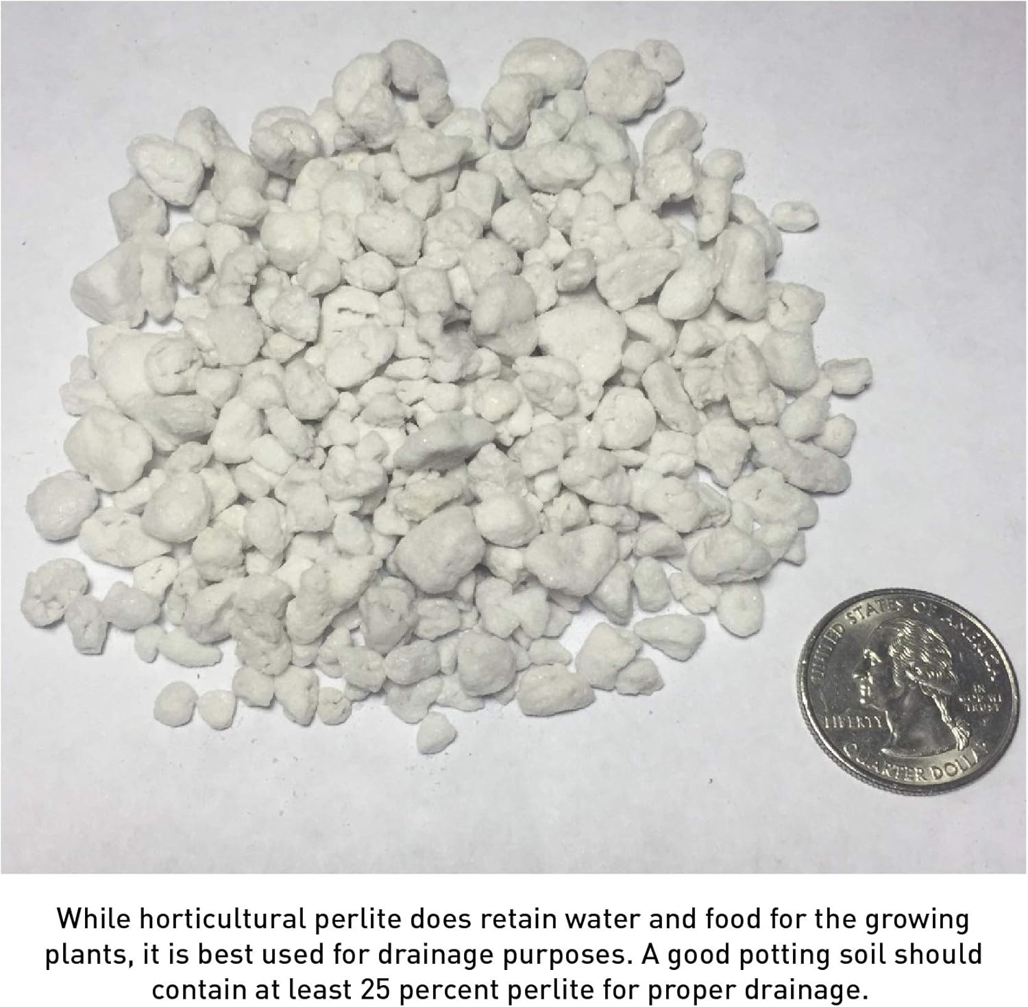 PVP Industries Coarse Perlite 4cu ft