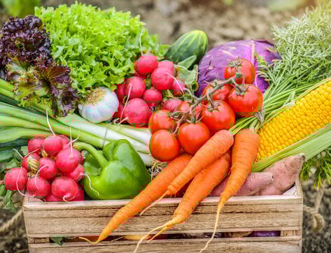 How to Grow Your Own Veggies!