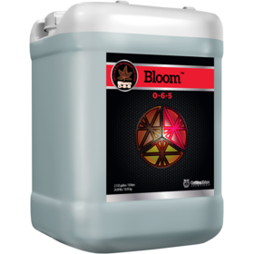 Cutting Edge Solutions Cutting Edge Solutions Bloom  2.5gal