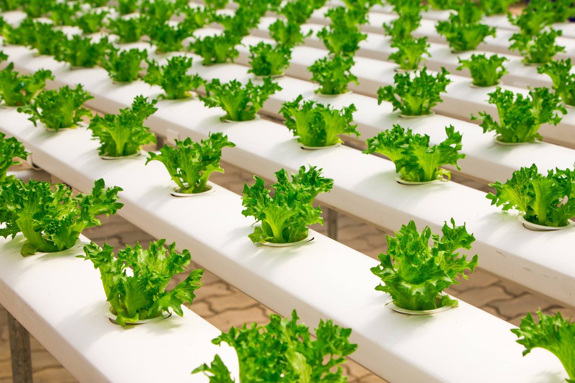 Green Matters Hydroponic Shop