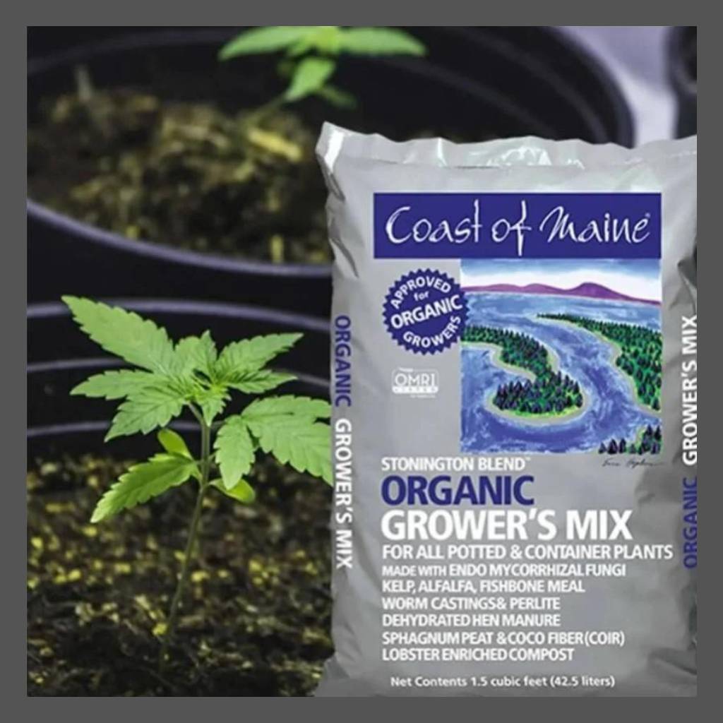 Green Matters Hydroponic Shop
