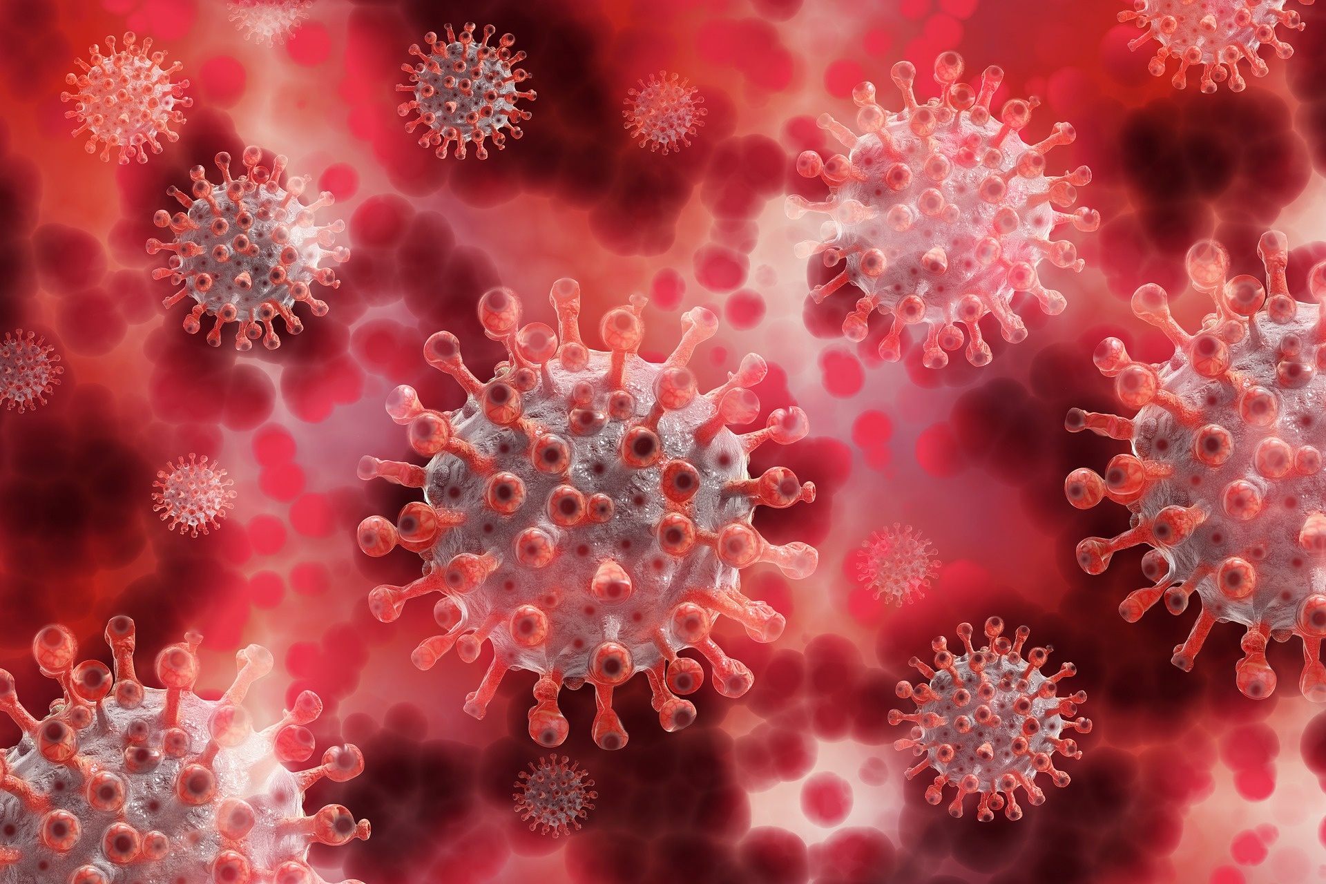Will CBD help COVID?