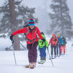 Alpine Touring