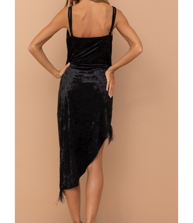Velvet Feather Dress