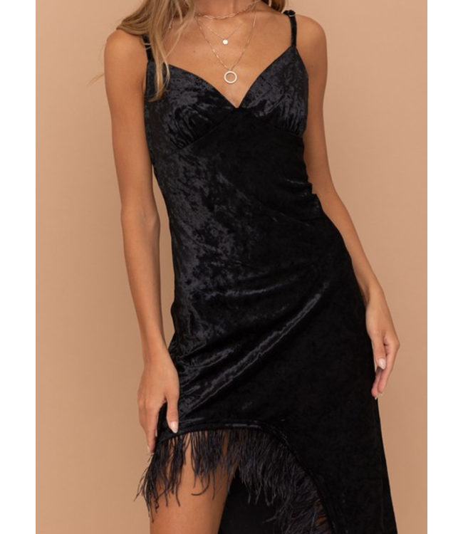 Velvet Feather Dress