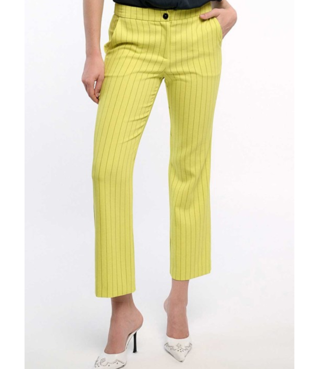 Pinstriped Bootcut Pants Passo Boutique