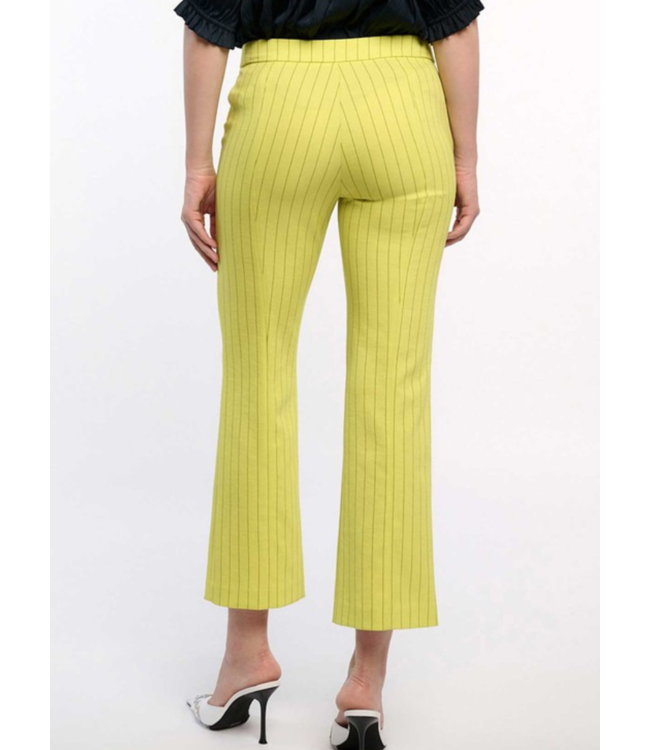 Pinstriped Bootcut Pants Passo Boutique