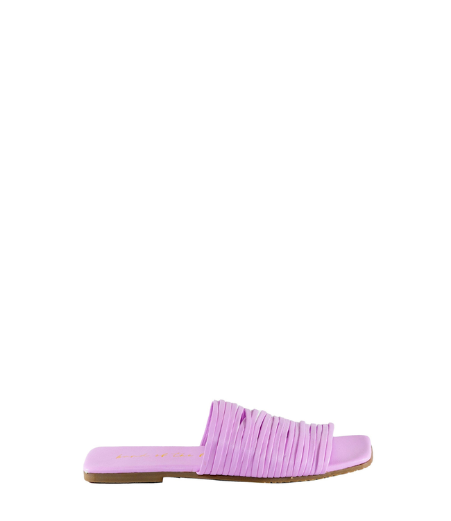 Lilac Slides