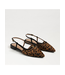 Leopard Pointy