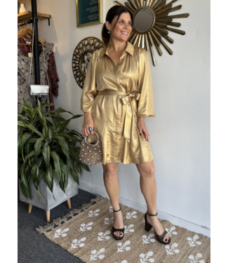 Metallic Gold Dress