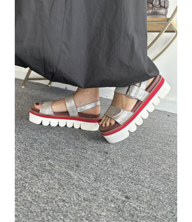 Silver Metallic Platform