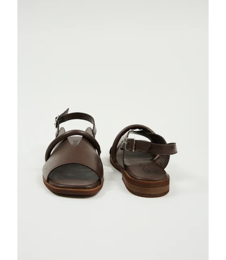 Brown Flats