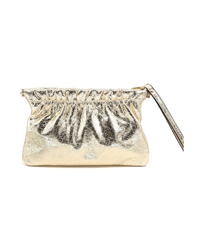 Metallic Bag with chain