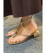 Champagne Flat Sandal