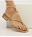 Champagne Flat Sandal