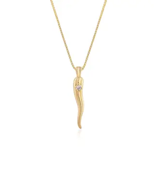 Cornicello Long Pendant Necklace