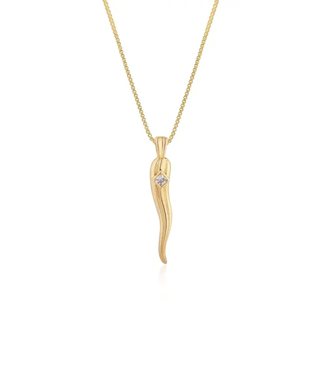 Cornicello Long Pendant Necklace