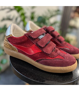Dolce Vita Velcro Oxblood Suede Sneaker