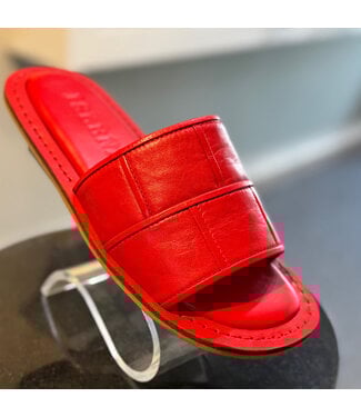 Off Grid Signature Slide Flats