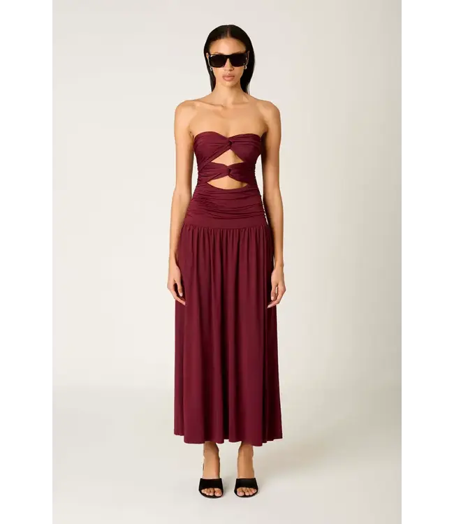 Oxblood Dress