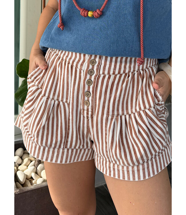 Striped Button Down Shorts