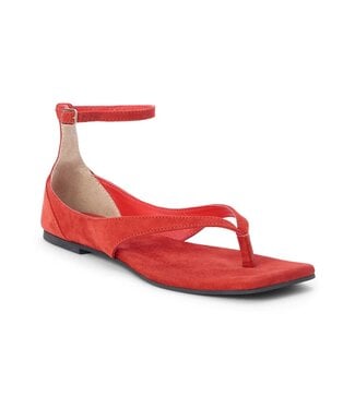COCONUTS BY MATISSE Kerry Thong Sandal