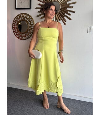 3D Floral Applique Midi Dress