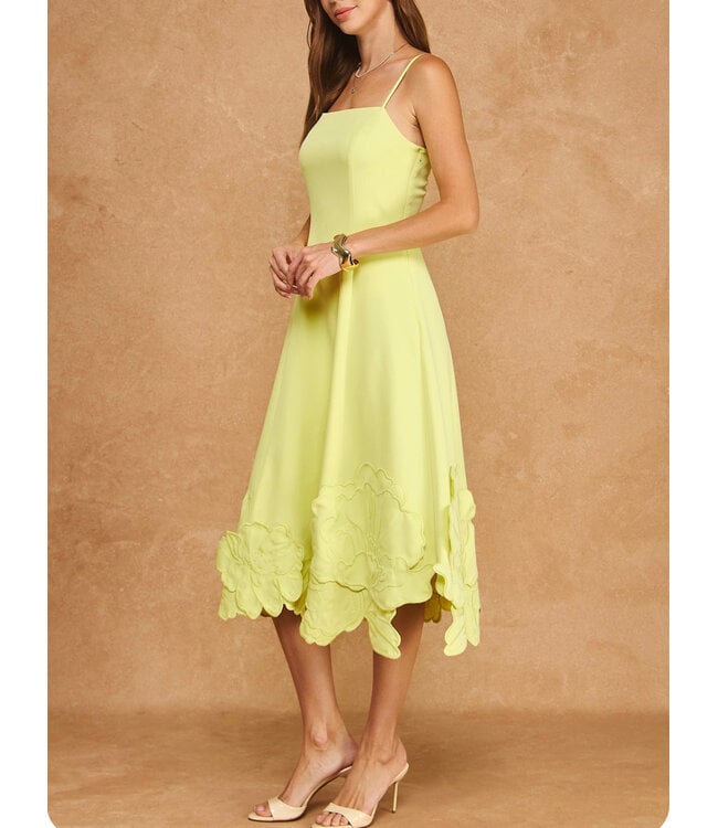 3D Floral Applique Midi Dress