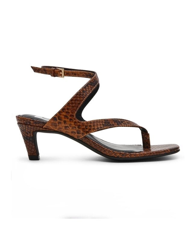 DV Dolce Vita Resst Exotic